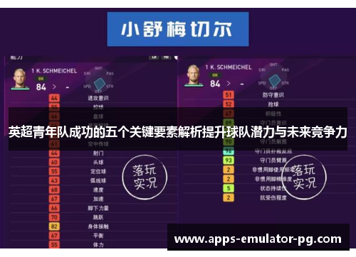 英超青年队成功的五个关键要素解析提升球队潜力与未来竞争力
