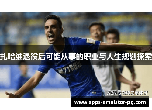 扎哈维退役后可能从事的职业与人生规划探索