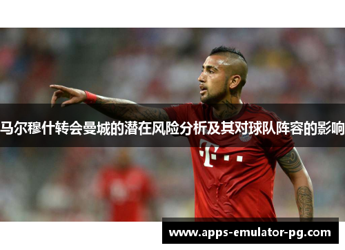 马尔穆什转会曼城的潜在风险分析及其对球队阵容的影响
