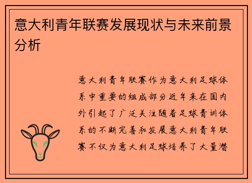 意大利青年联赛发展现状与未来前景分析