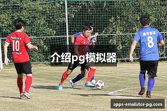 介绍pg模拟器